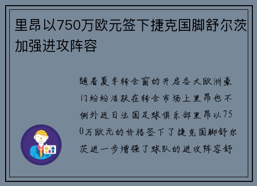 里昂以750万欧元签下捷克国脚舒尔茨加强进攻阵容